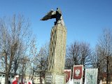IMG 0938