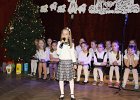 IMG 6447