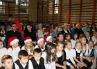 IMG 6503