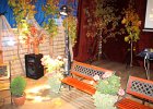 IMG 5431
