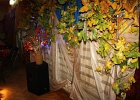 IMG 5448