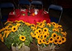 IMG 5548