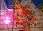 IMG 5562