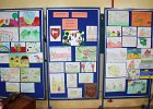 IMG 5911